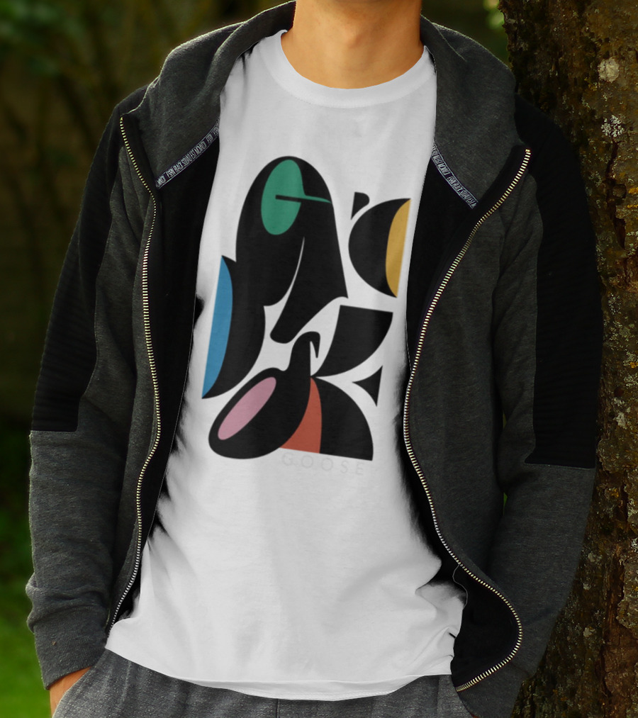 Warp Spheres Goose The Band Colorful Abstract Shapes T-Shirt