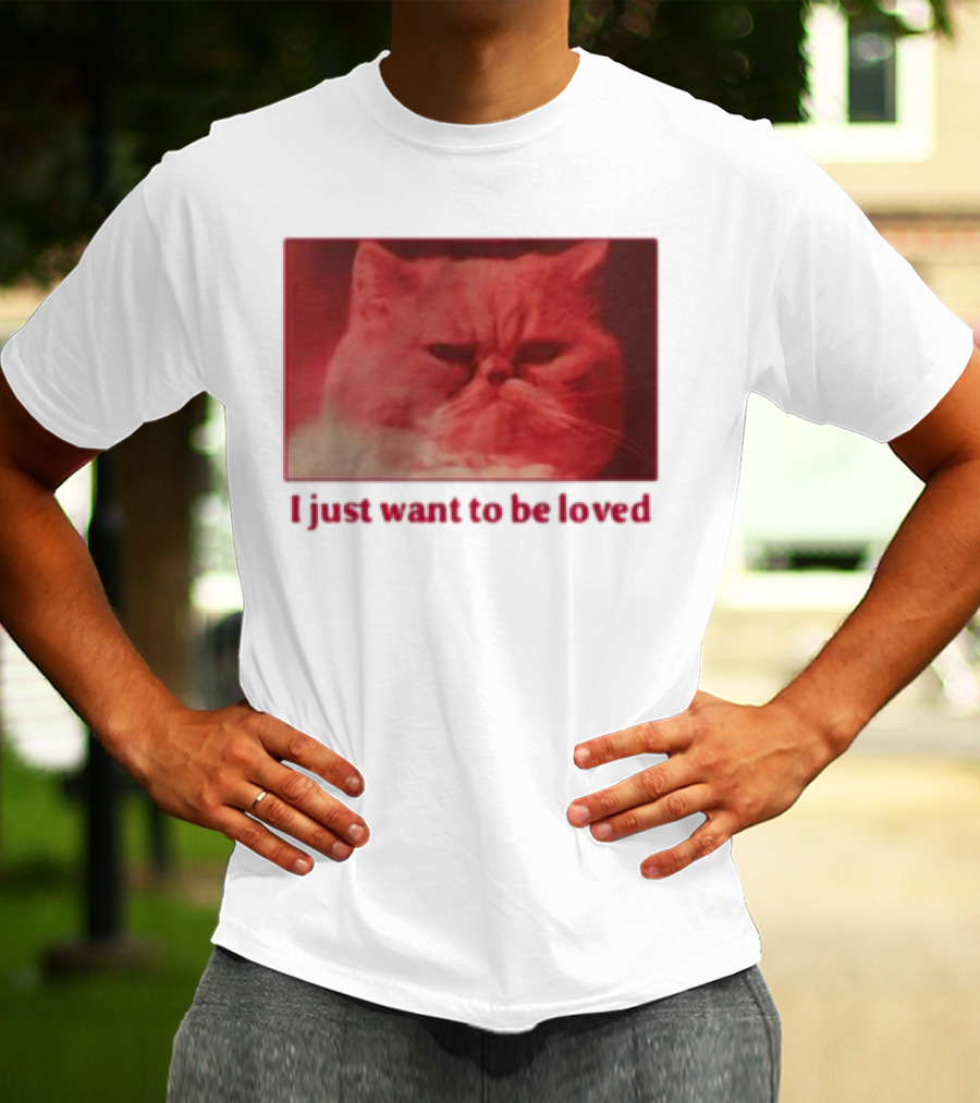 Volodymyr Testardі I Just Want To Be Loved Grumpy Cat Red Tones T-Shirt