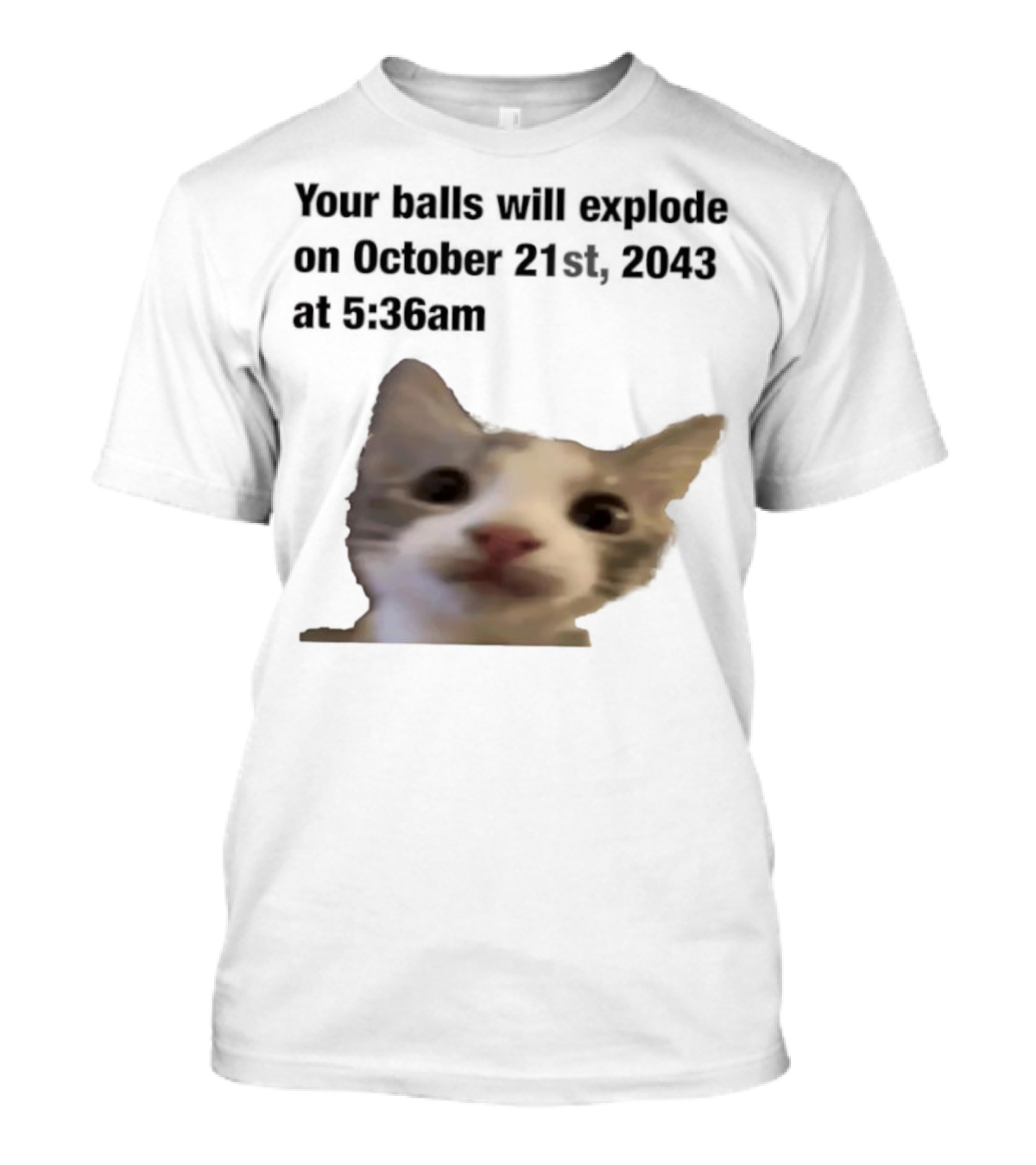 Cat Your Balls Will Explode October 21st 2043 At 5 36am T-Shirt