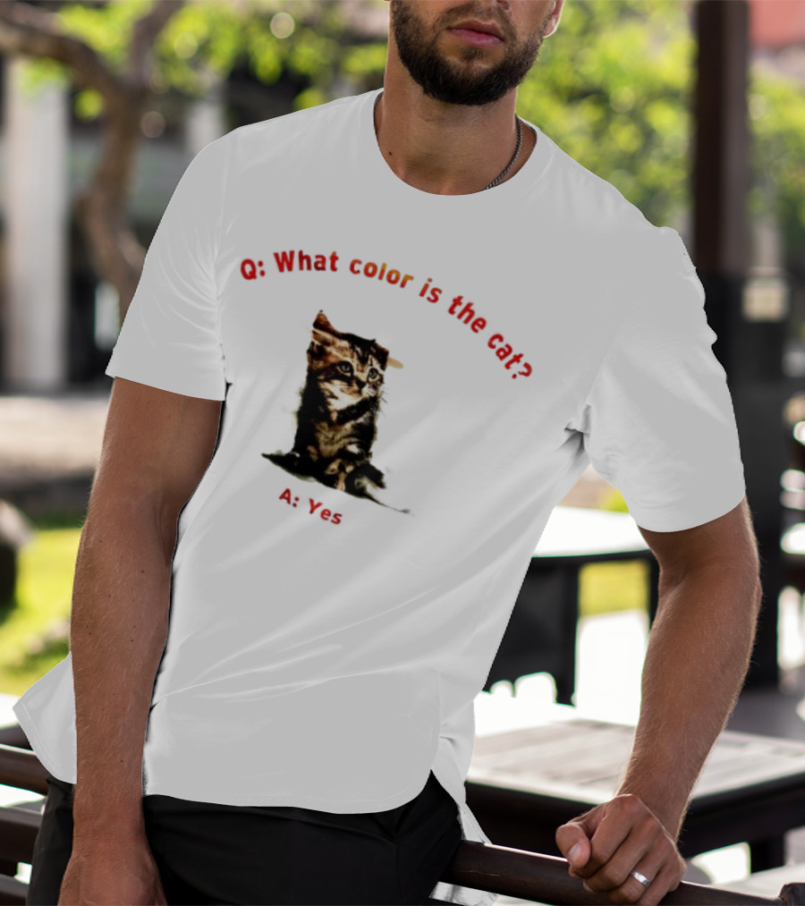 What Color Is The Cat Yes Kitten T-Shirt