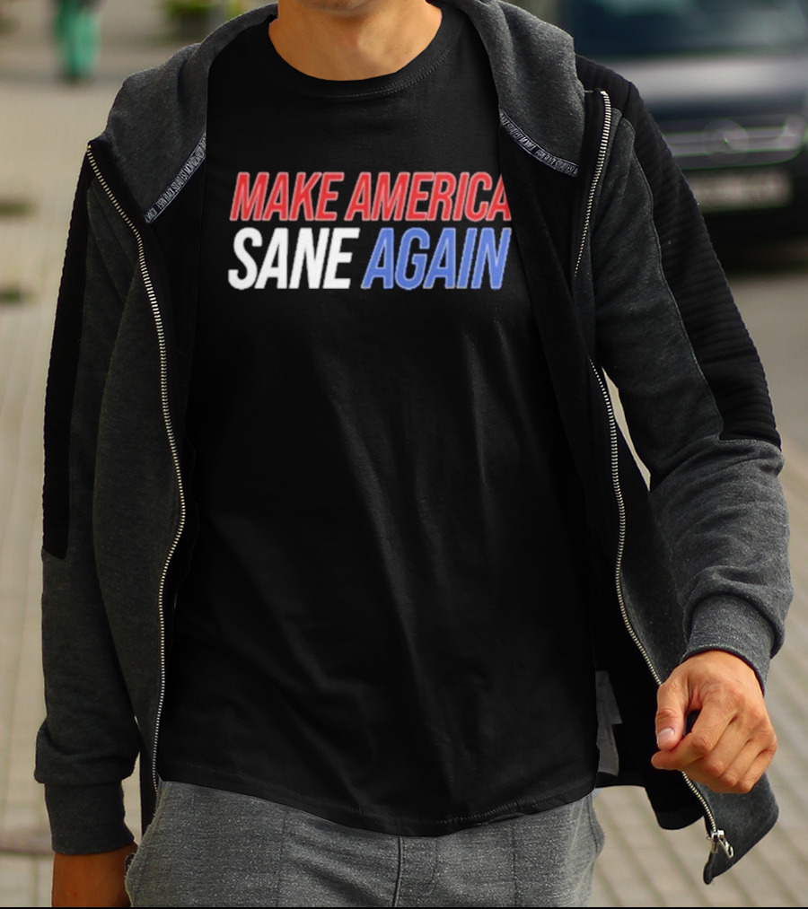Duke Gomez Make America Sane Again Red White Blue Text T-Shirt