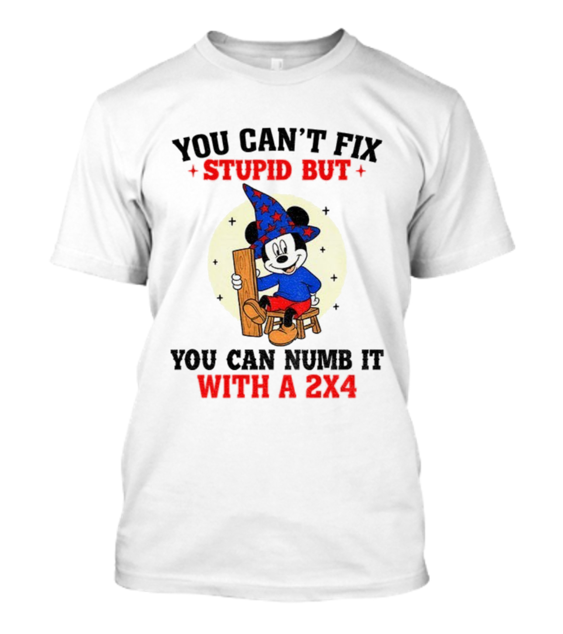 You Can't Fix Stupid But You Can Numb It With A 2x4 Mickey Witch T-Shirt