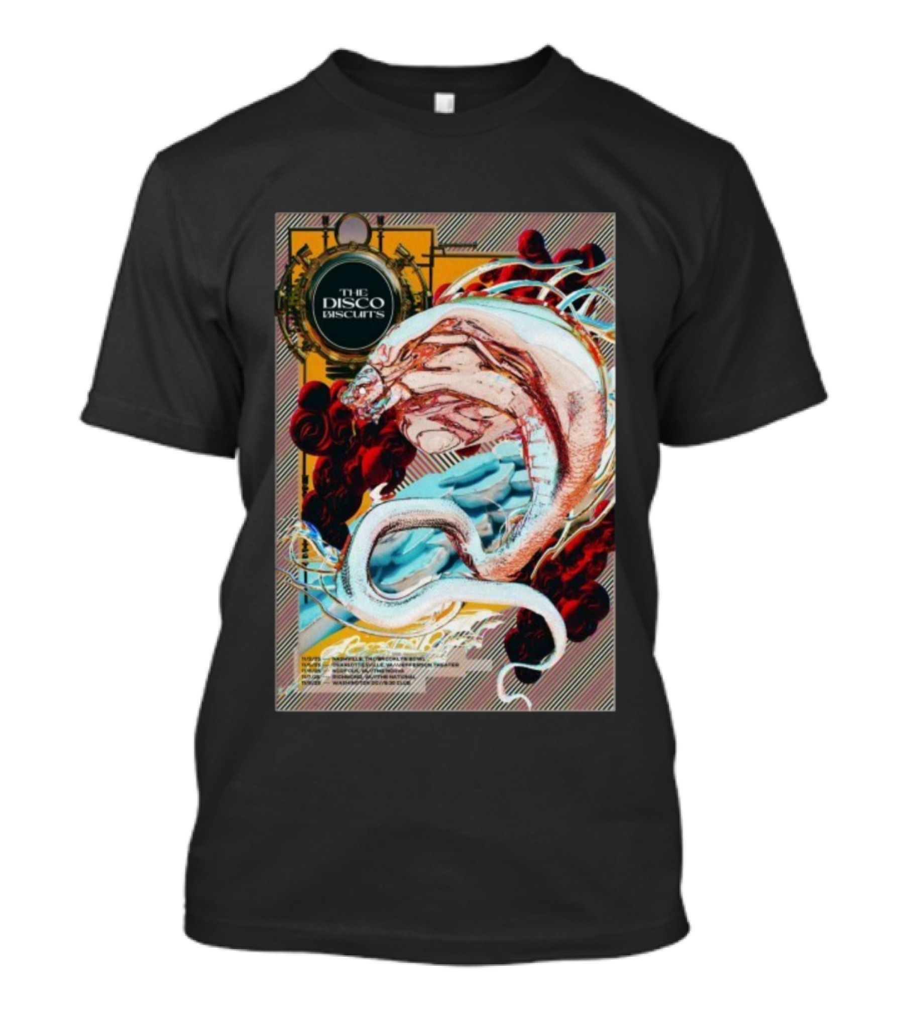 The Disco Biscuits Nov 8 2025 Washington DC Concert Event Snake Art T-Shirt