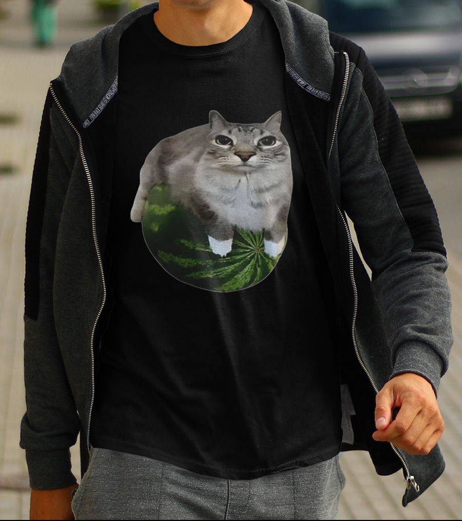 Watermelon Cat Meme Humor Collage T-Shirt