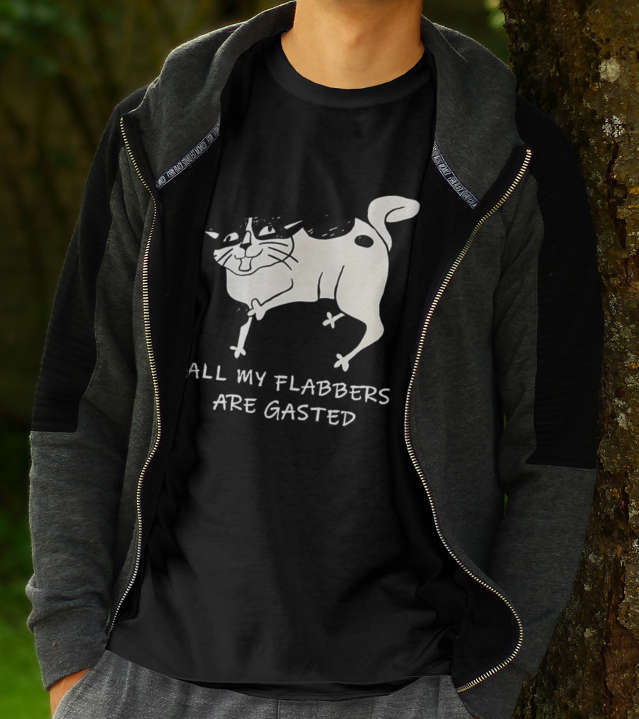 Surprised Cat All My Flabbers Are Gasted Sketch T-Shirt