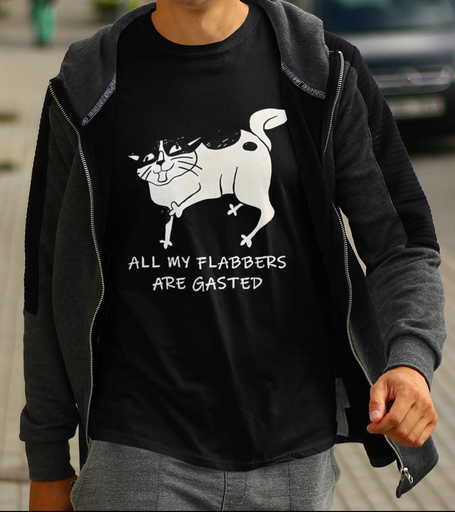 Surprised Cat All My Flabbers Are Gasted Sketch T-Shirt