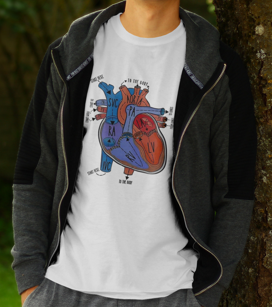 Heart Anatomy Blood Flow SVC RA RV IVC Aorta PA PV LA LV T-Shirt