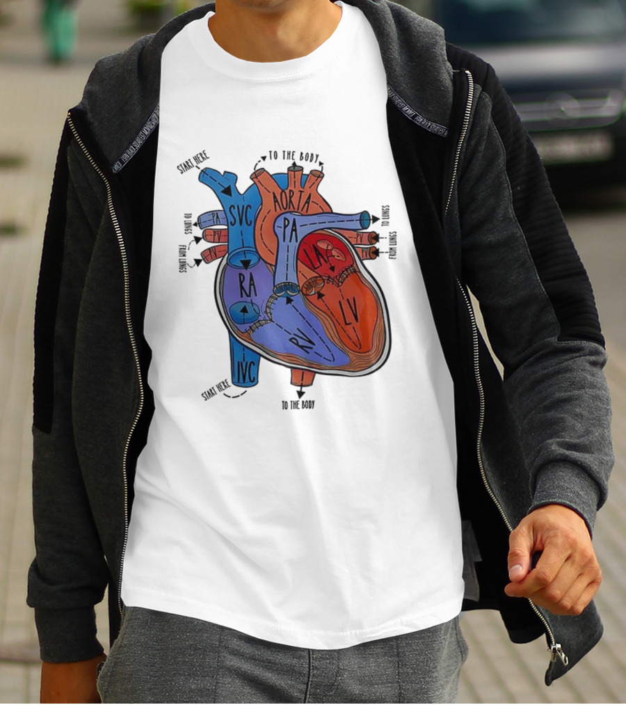 Heart Anatomy Blood Flow SVC RA RV IVC Aorta PA PV LA LV T-Shirt