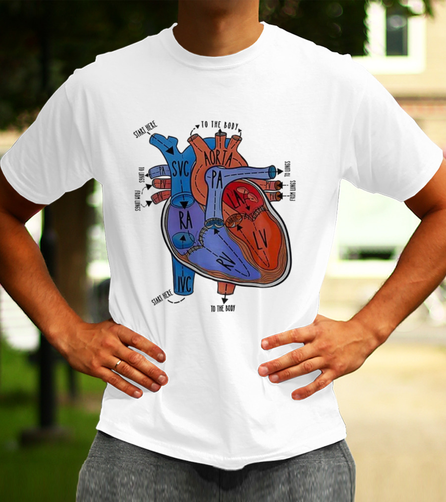 Heart Anatomy Blood Flow SVC RA RV IVC Aorta PA PV LA LV T-Shirt