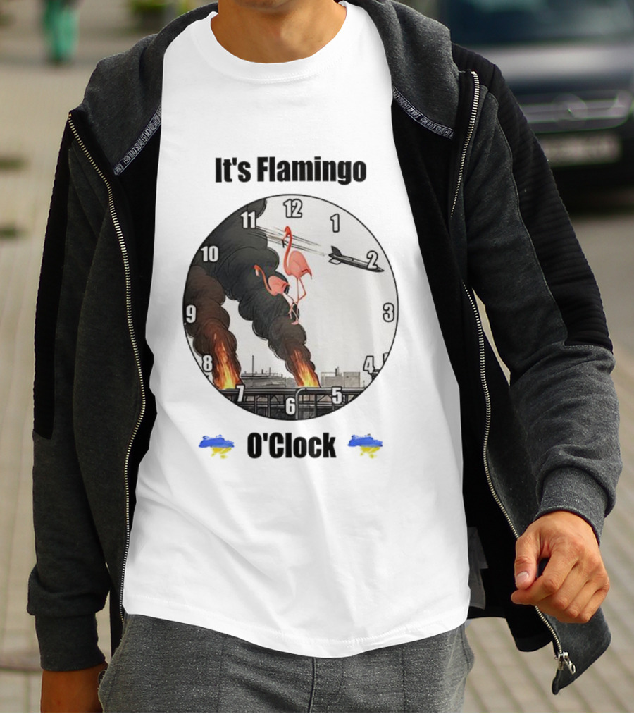 Flamingo O’clock Flamingos On Face With Plane And Fire Imagery T-Shirt
