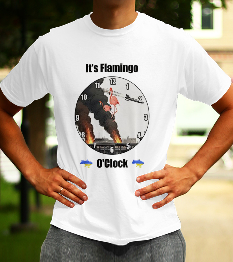 Flamingo O’clock Flamingos On Face With Plane And Fire Imagery T-Shirt