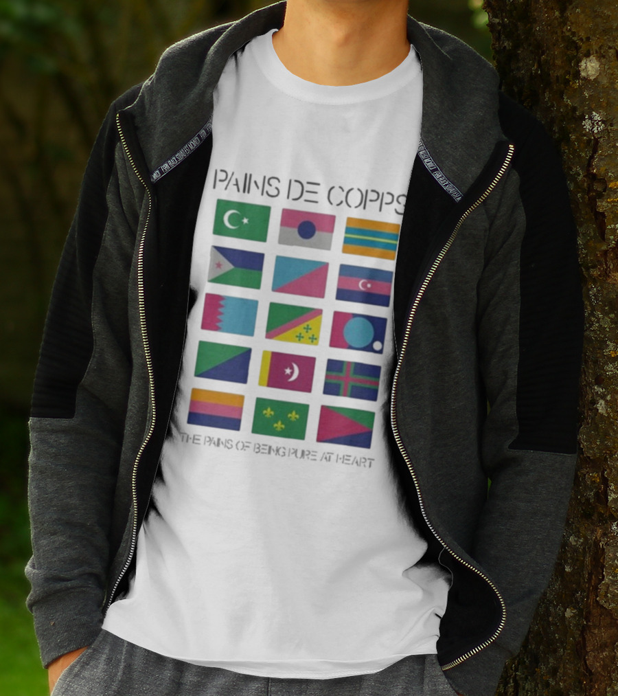 Pains De Corps The Pains Of Being Pure At Heart Flags T-Shirt