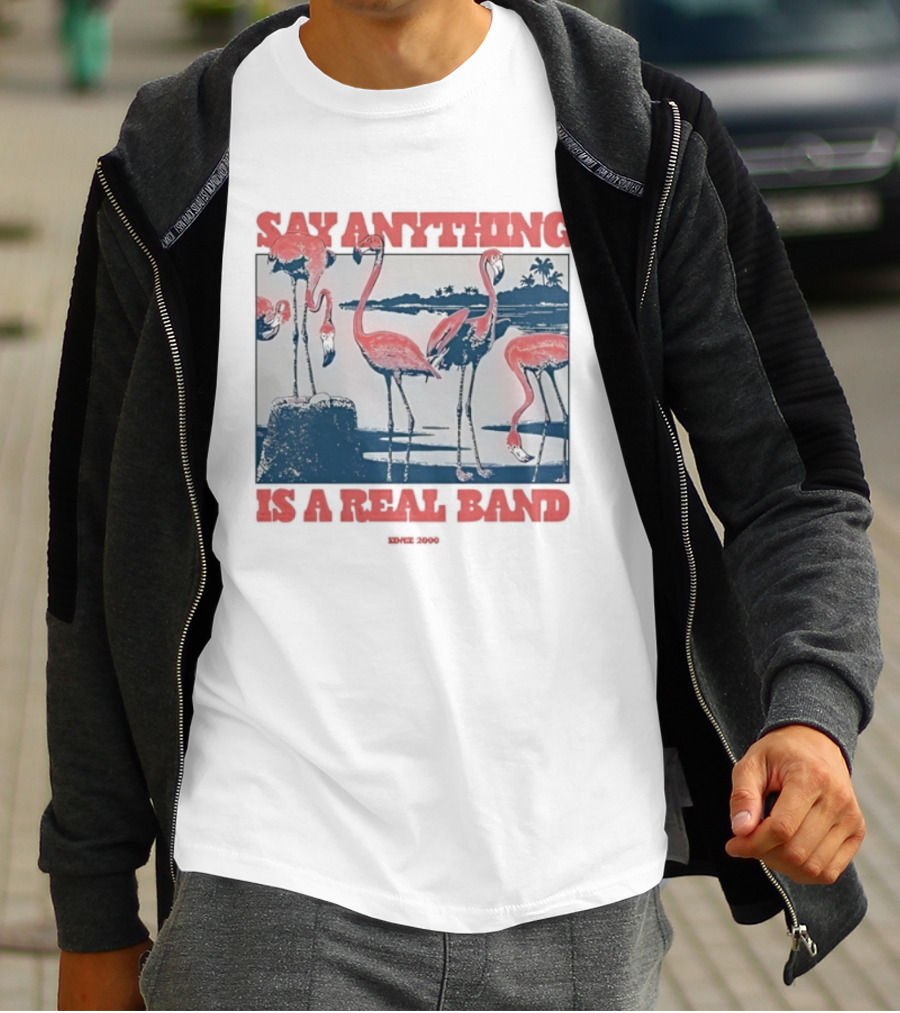 Say Anything Flamingo Is A Real Band Since 2000 T-Shirt