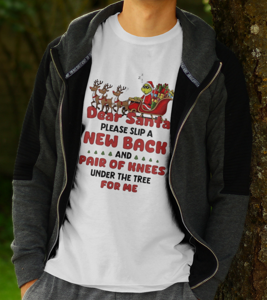 Dear Santa Grinch New Back Pair Of Knees Christmas Humor T-Shirt