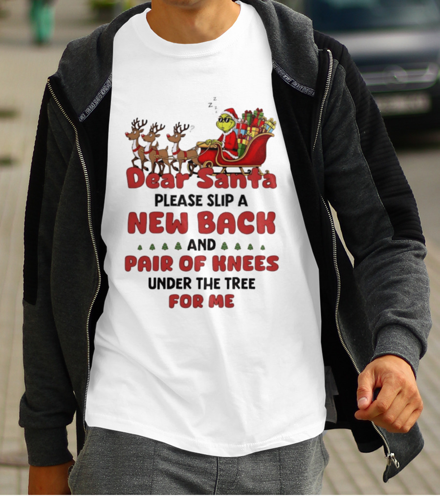 Dear Santa Grinch New Back Pair Of Knees Christmas Humor T-Shirt
