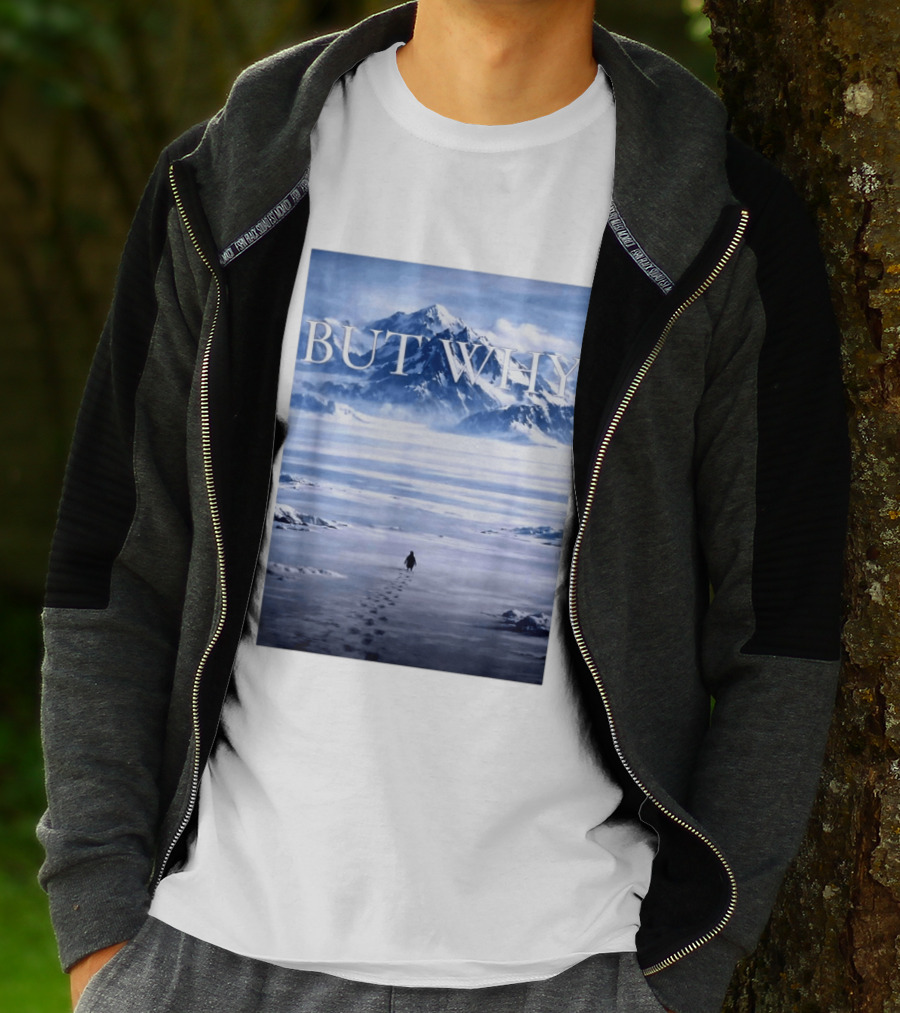 But Why Penguin Mountains T-Shirt