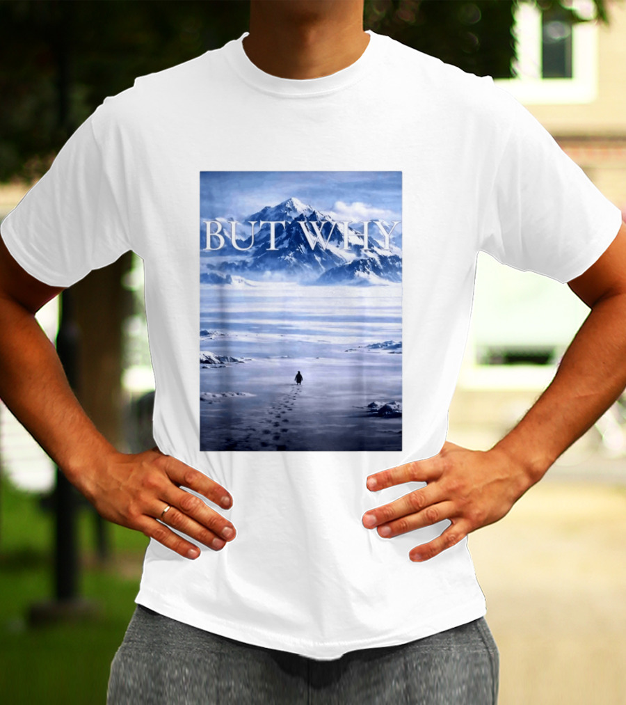 But Why Penguin Mountains T-Shirt