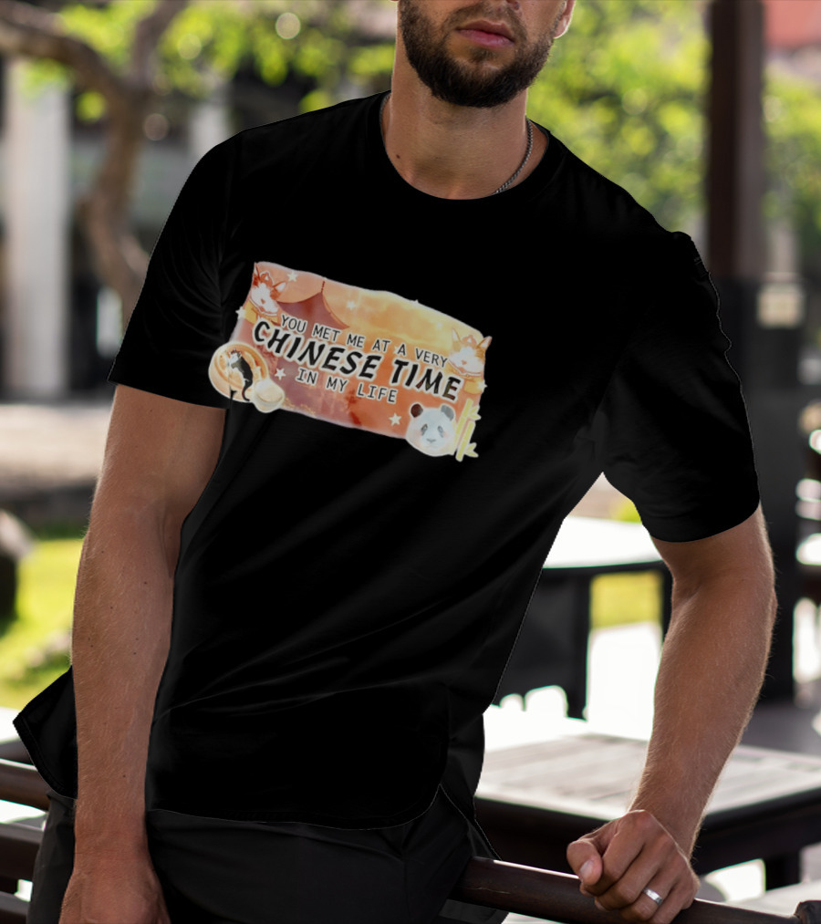 You Met Me At A Very Chinese Time Panda Dumplings Chopsticks Cat Pagoda T-Shirt