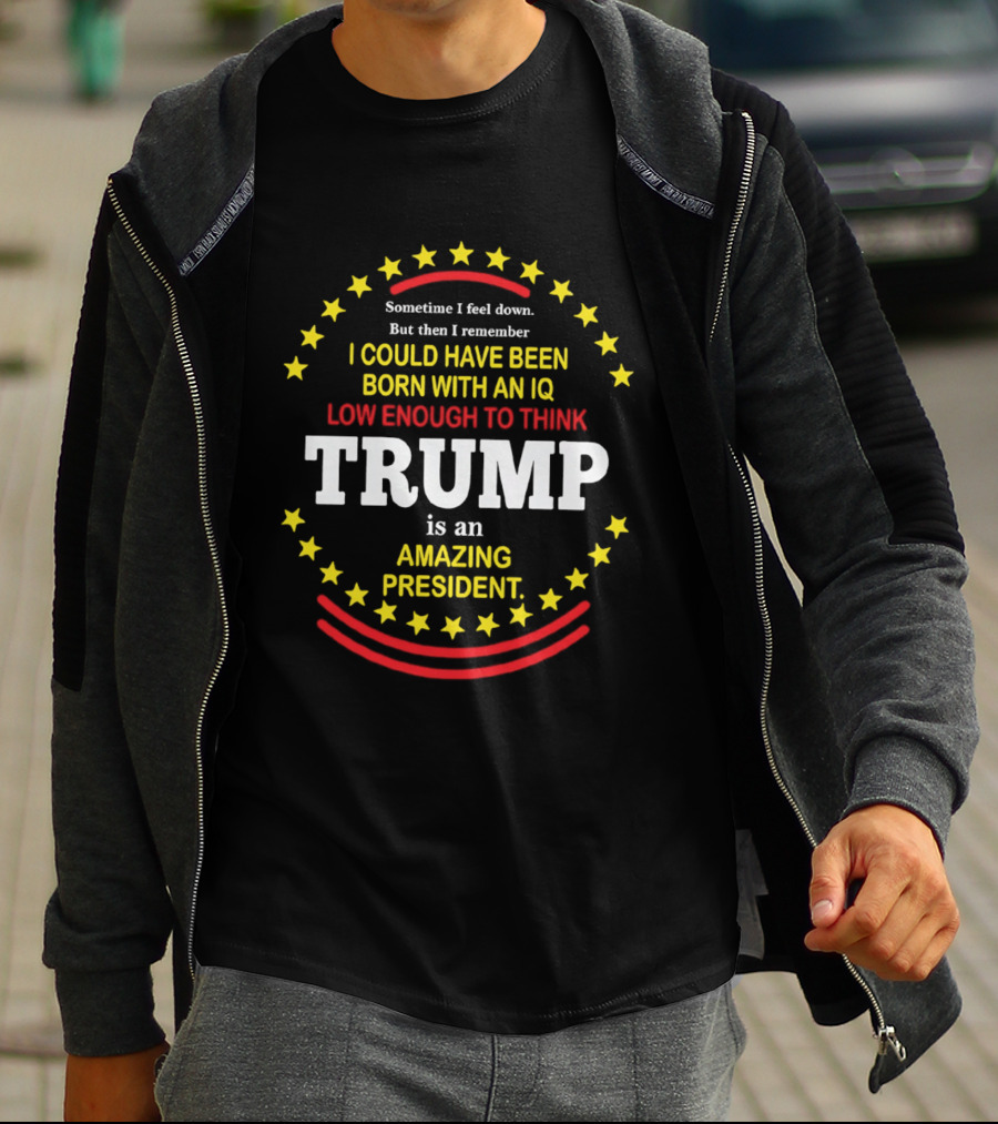 Sometime I Feel Down But Then I Remember I Could Have Been Born With An IQ Low Enough To Think Trump Is An Amazing President T-Shirt