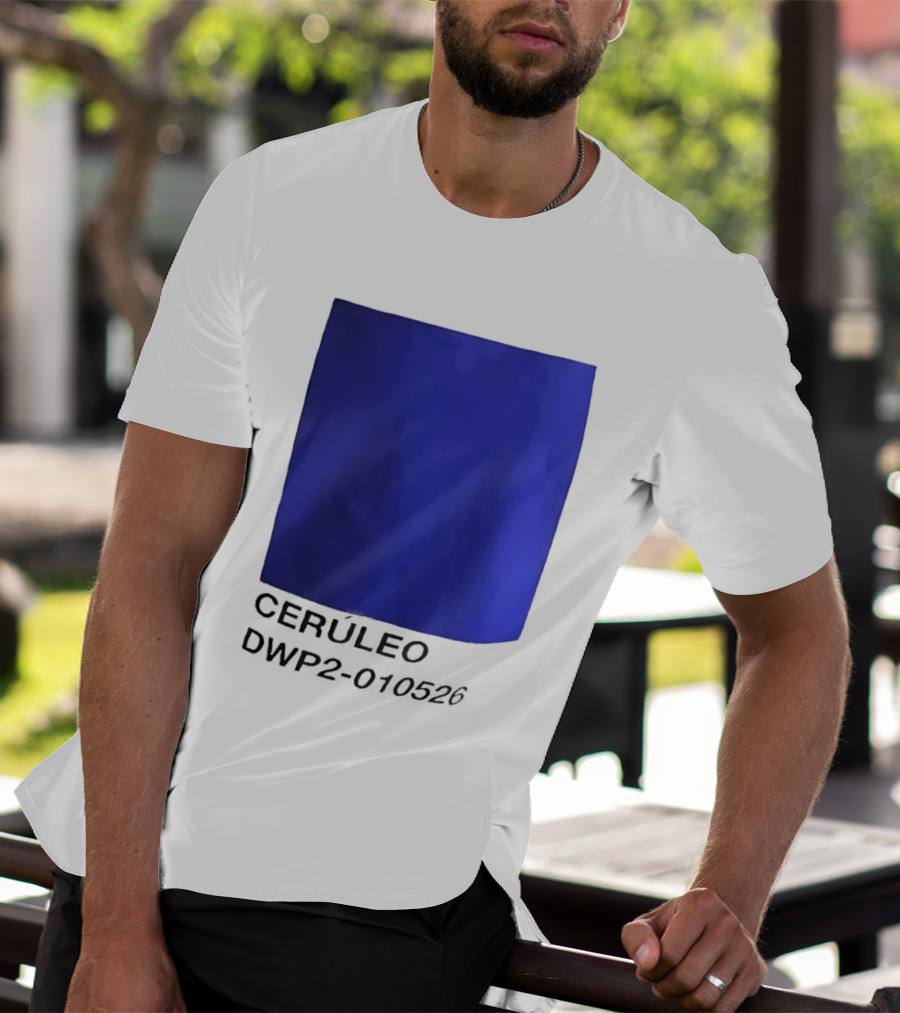 Ceruleo DWP2 010526 T-Shirt