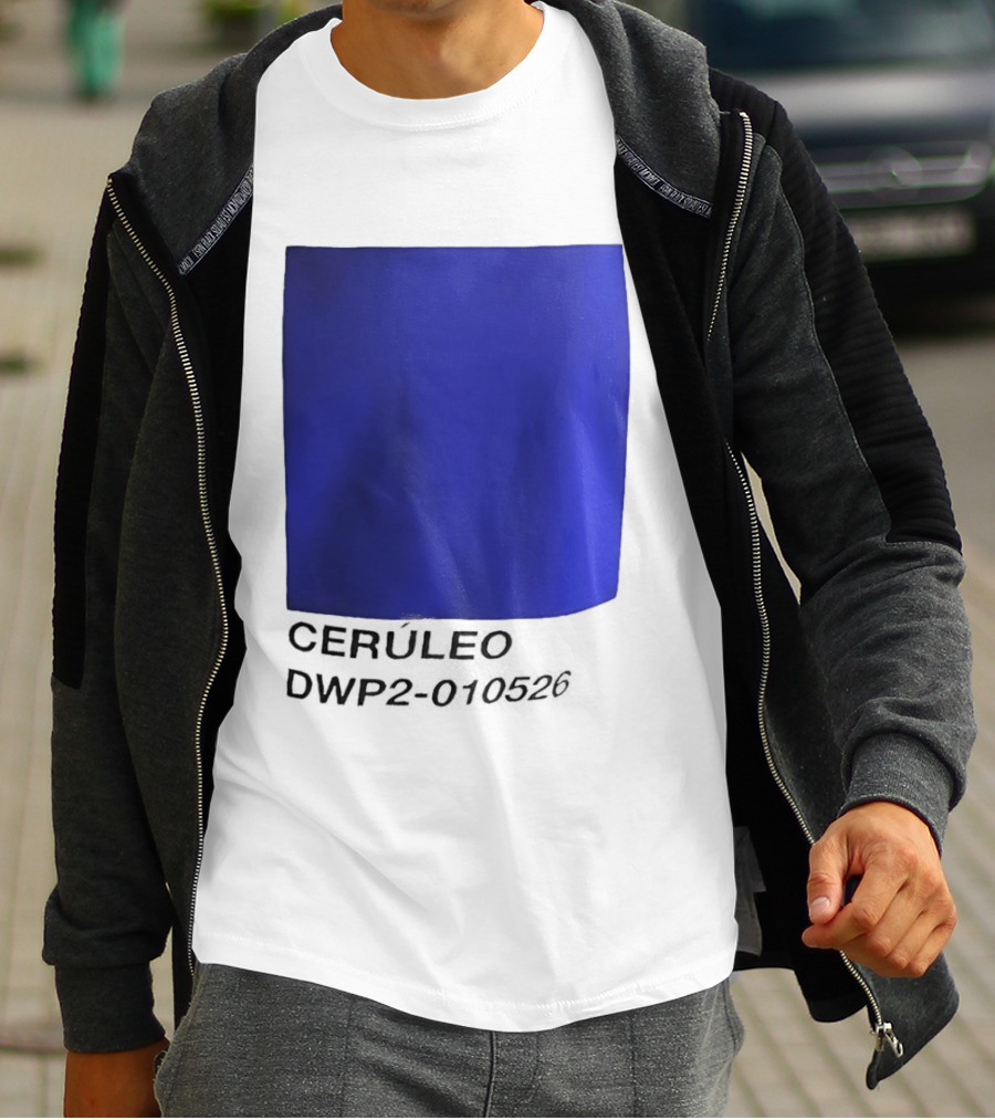 Ceruleo DWP2 010526 T-Shirt