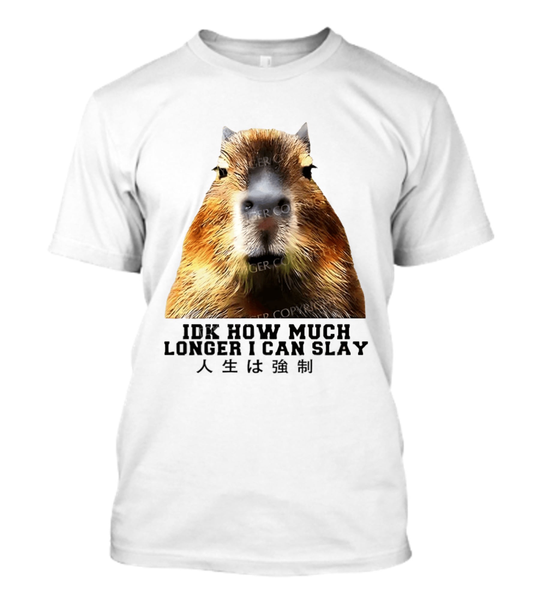 Capybara Idk How Much Longer I Can Slay T-Shirt