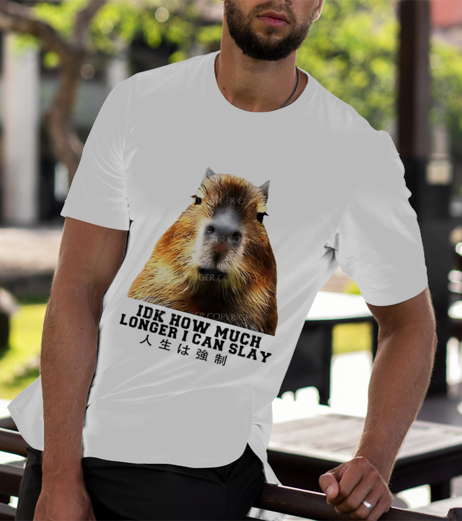 Capybara Idk How Much Longer I Can Slay T-Shirt