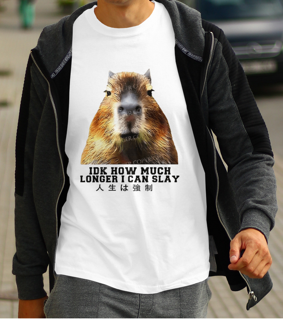 Capybara Idk How Much Longer I Can Slay T-Shirt