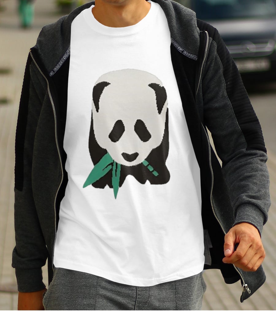 Taylor Wearing Free People Panda T-Shirt