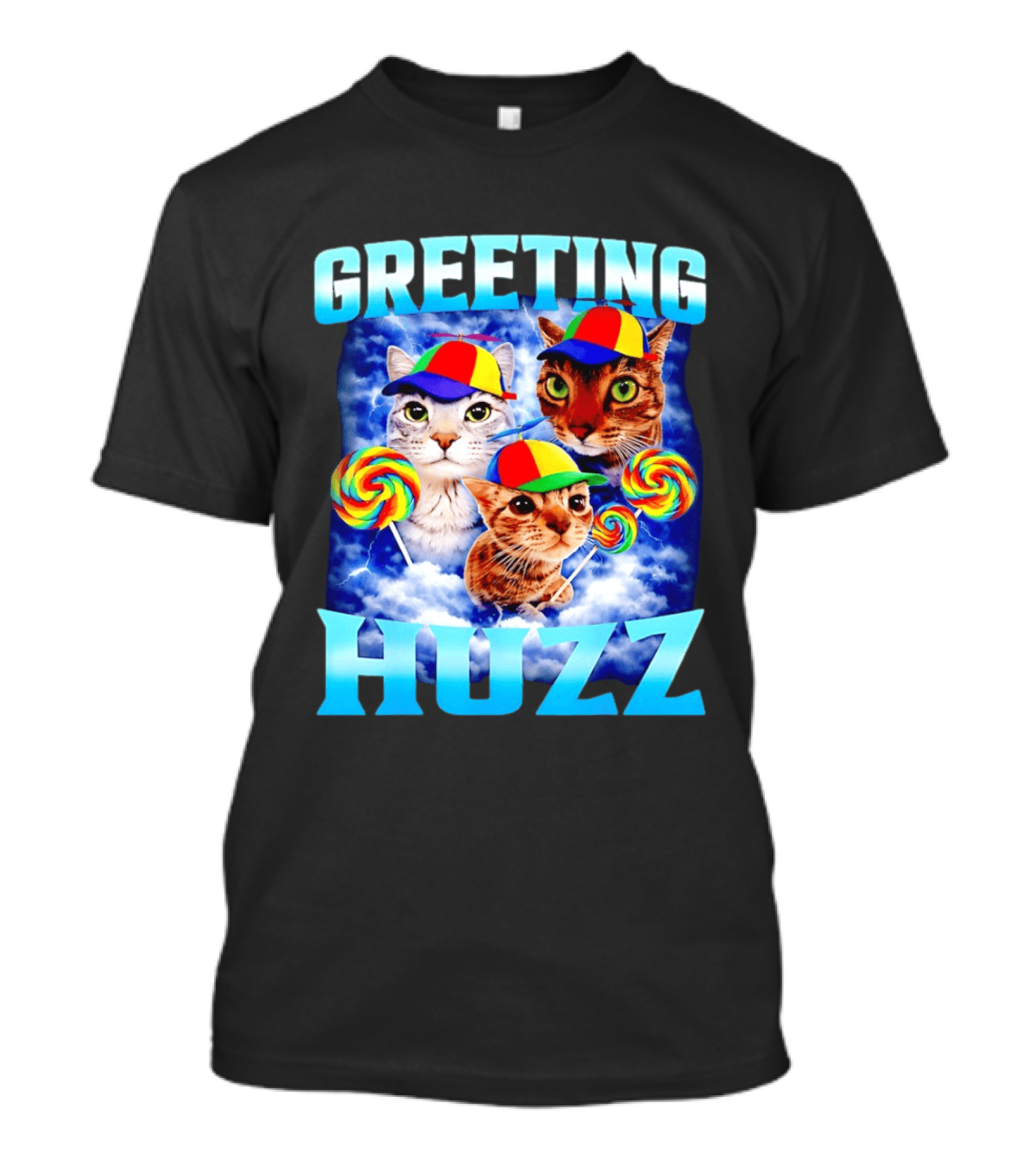 Greeting Huzz Cat Meme With Lollipops And Colorful Hats T-Shirt