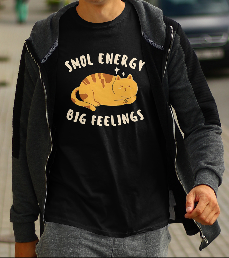 Smol Energy Big Feelings Cat Illustration With Sleepy Kitty Vibes T-Shirt