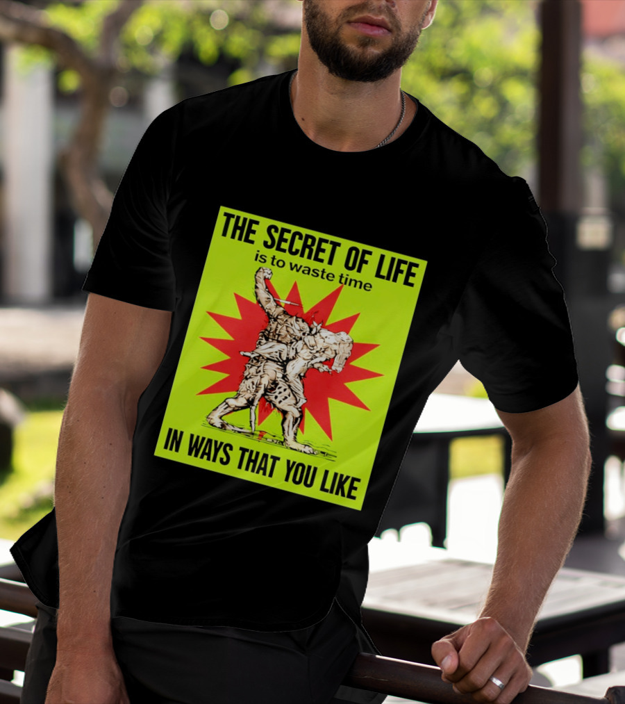 The Secret Of Life Is To Waste Time In Ways That You Like Comic Style Red Burst T-Shirt