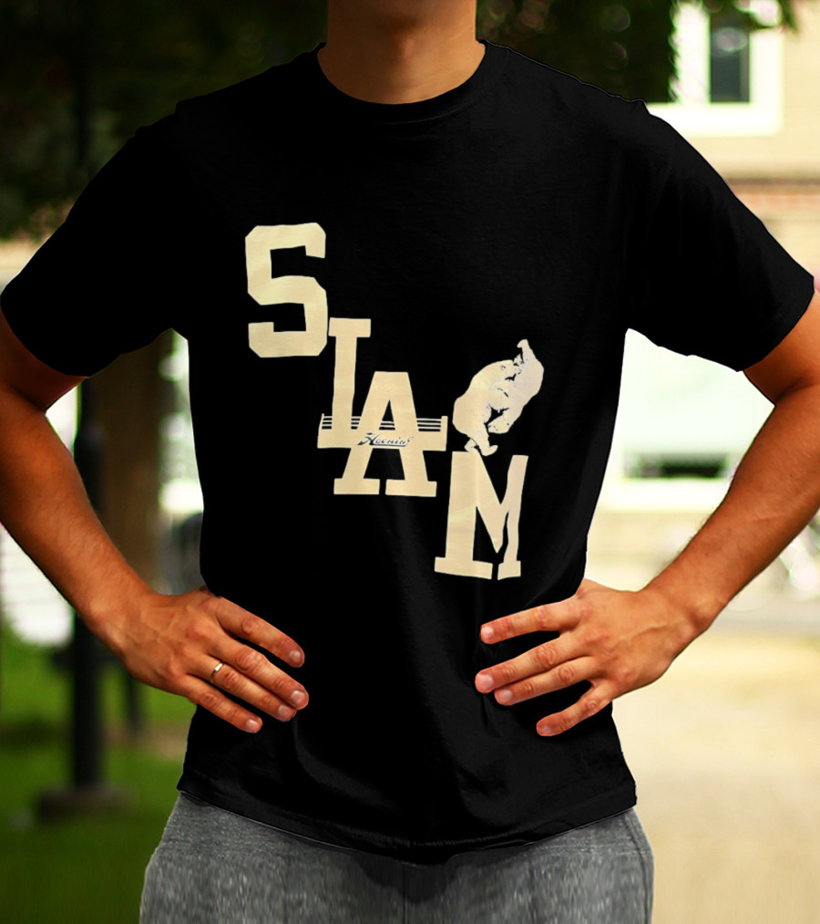 Slam Boxing Bear Fist Punch T-Shirt