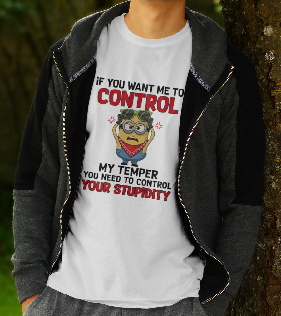 Grumpy Minion Control My Temper Control Your Stupidity T-Shirt