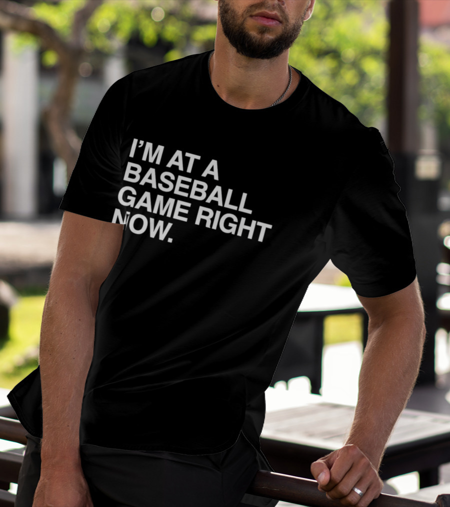 I'm At A Baseball Game Right Now T-Shirt