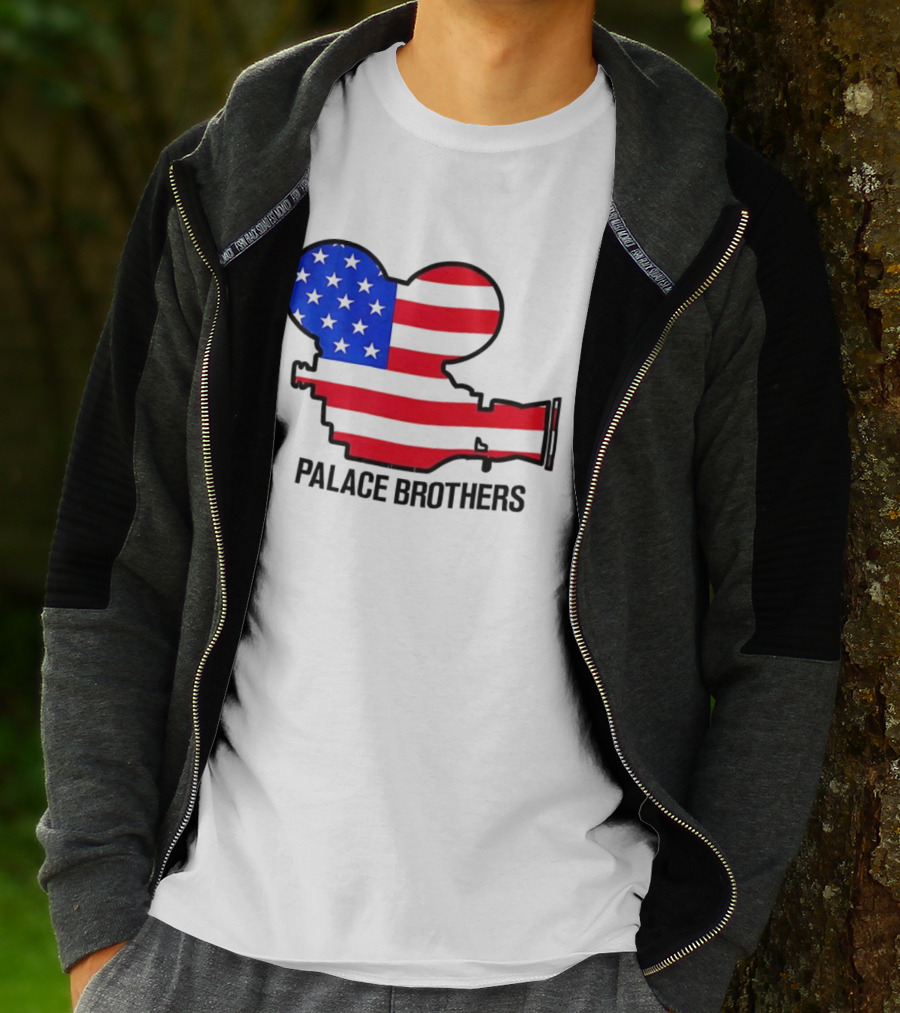 Palace Brothers American Flag Camera T-Shirt