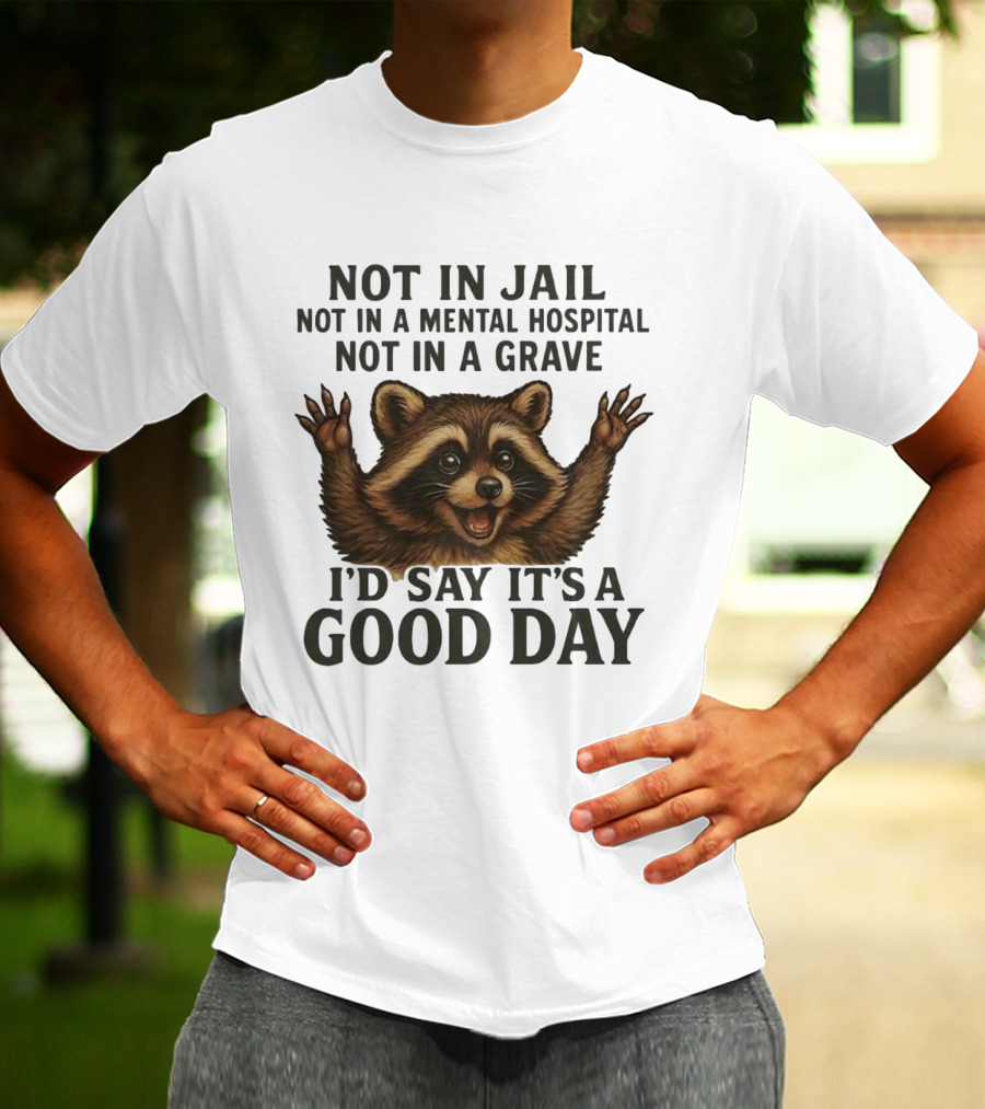 Raccoon Not In Jail Not In A Mental Hospital Not In A Grave I’d Say It’s A Good Day T-Shirt