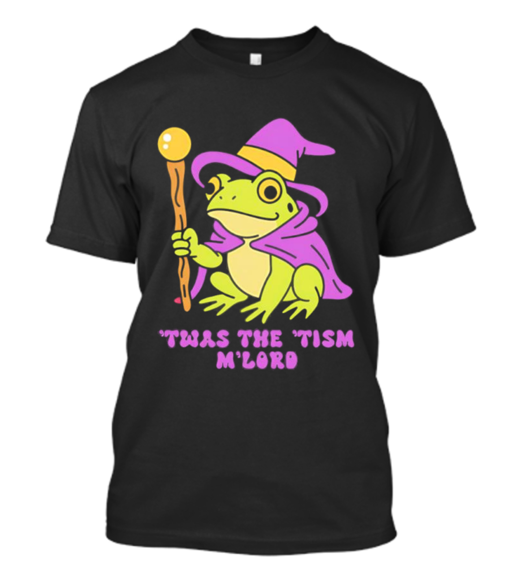 Twas The Tism M'Lord Frog Wizard Purple Hat Staff T-Shirt
