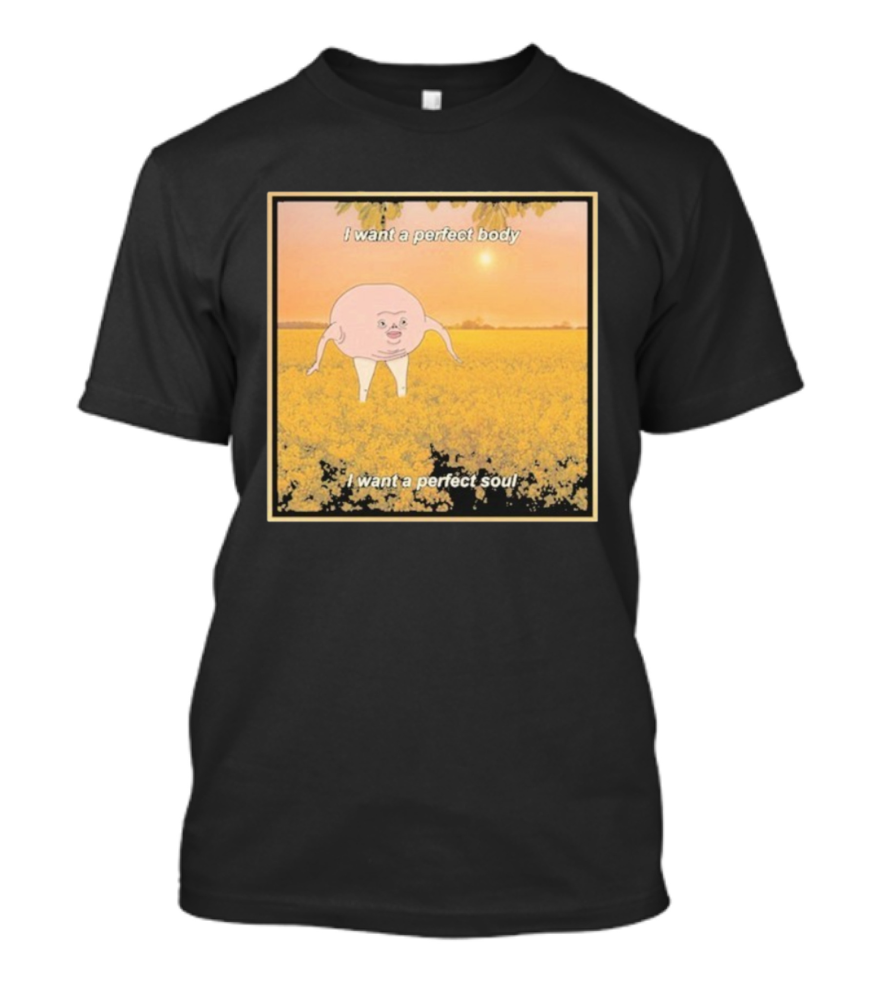 I Want A Perfect Body I Want A Perfect Soul Sunset Parody T-Shirt