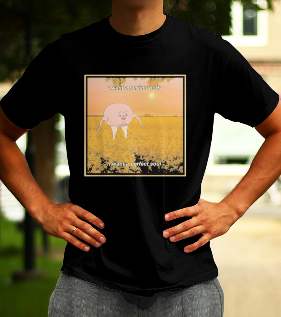 I Want A Perfect Body I Want A Perfect Soul Sunset Parody T-Shirt