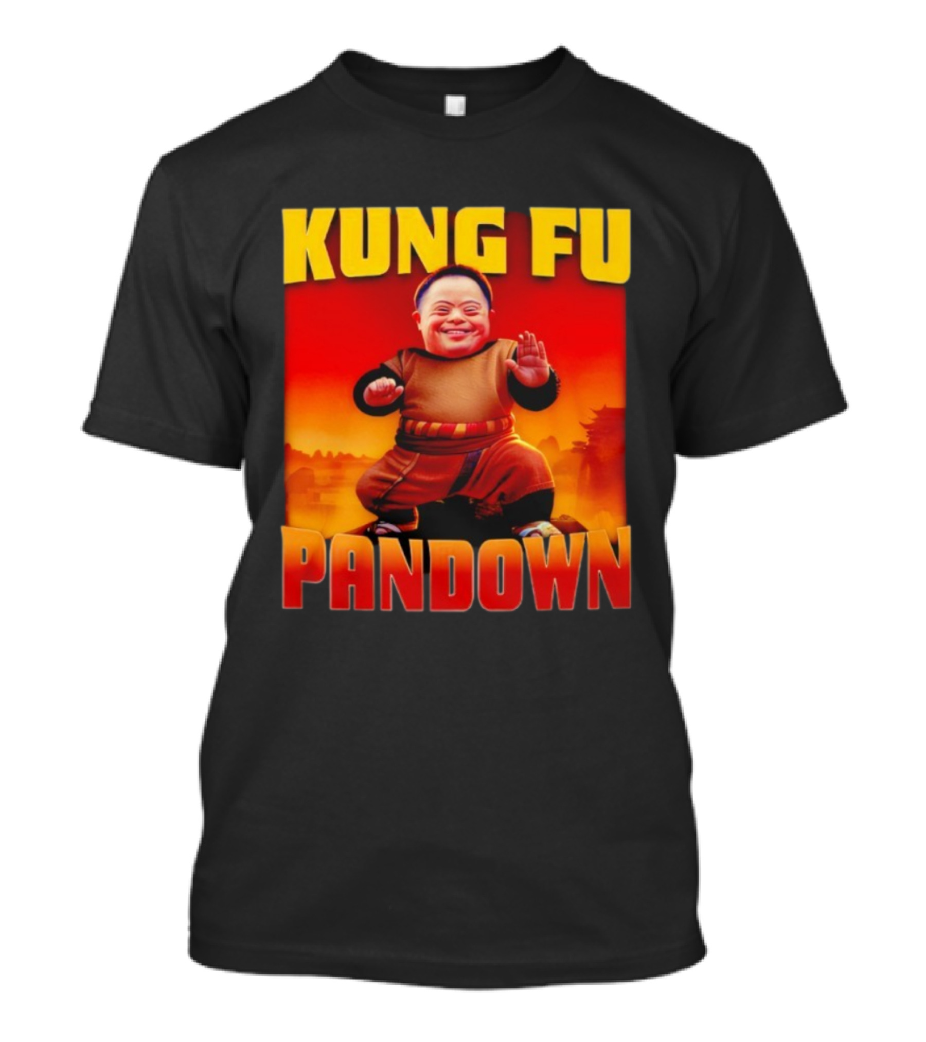 Kung Fu Pandown Kung Fu Mastery Empowerment Mood Xa T-Shirt