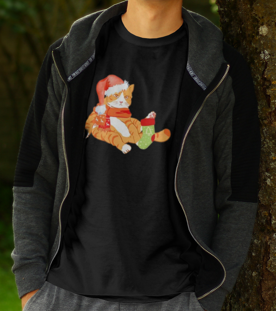 Cute Christmas Orange Cat Santa Hat Festive Stocking T-Shirt