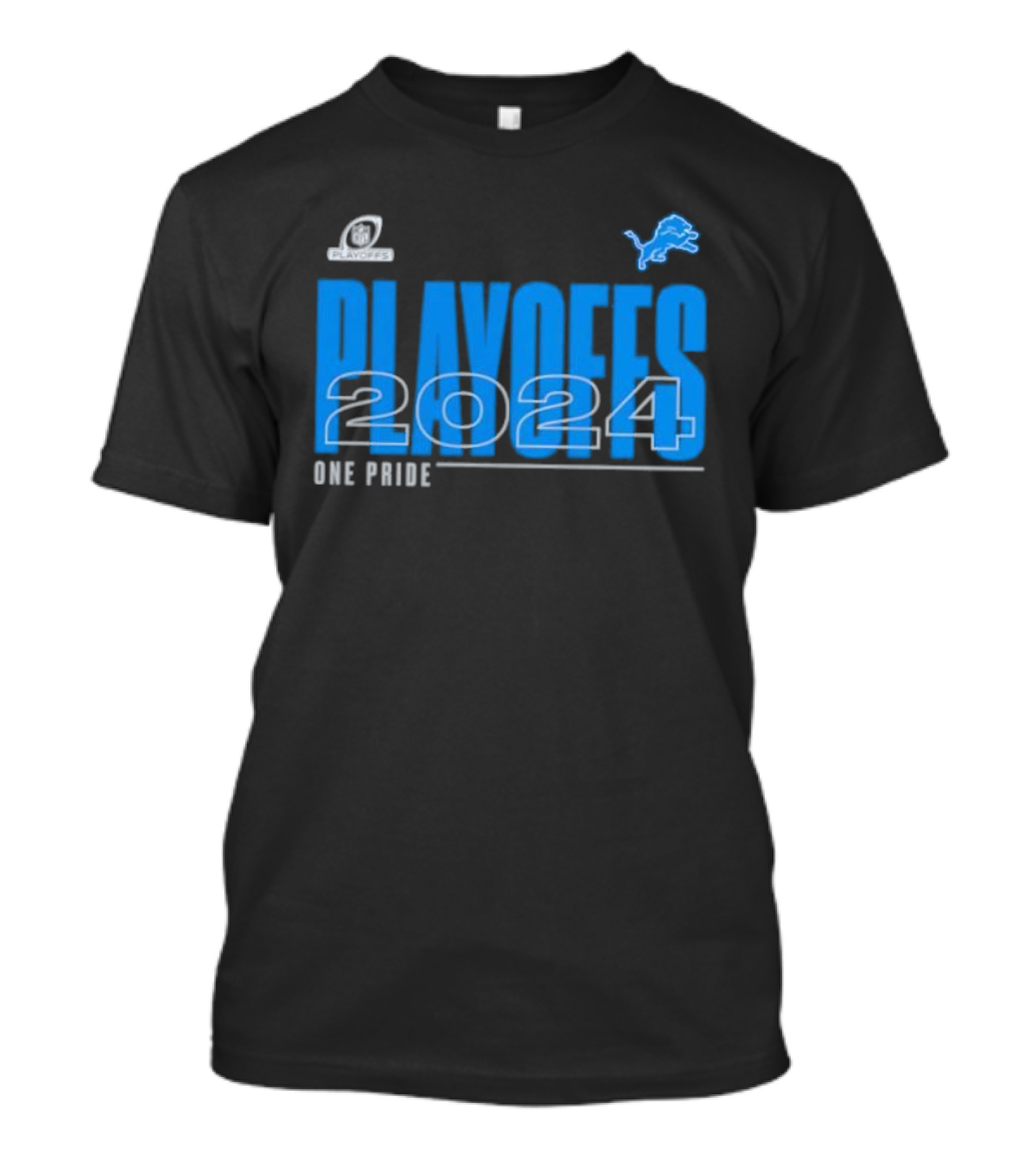Detroit Lions 2024 Playoffs One Pride Fan Gear T-Shirt
