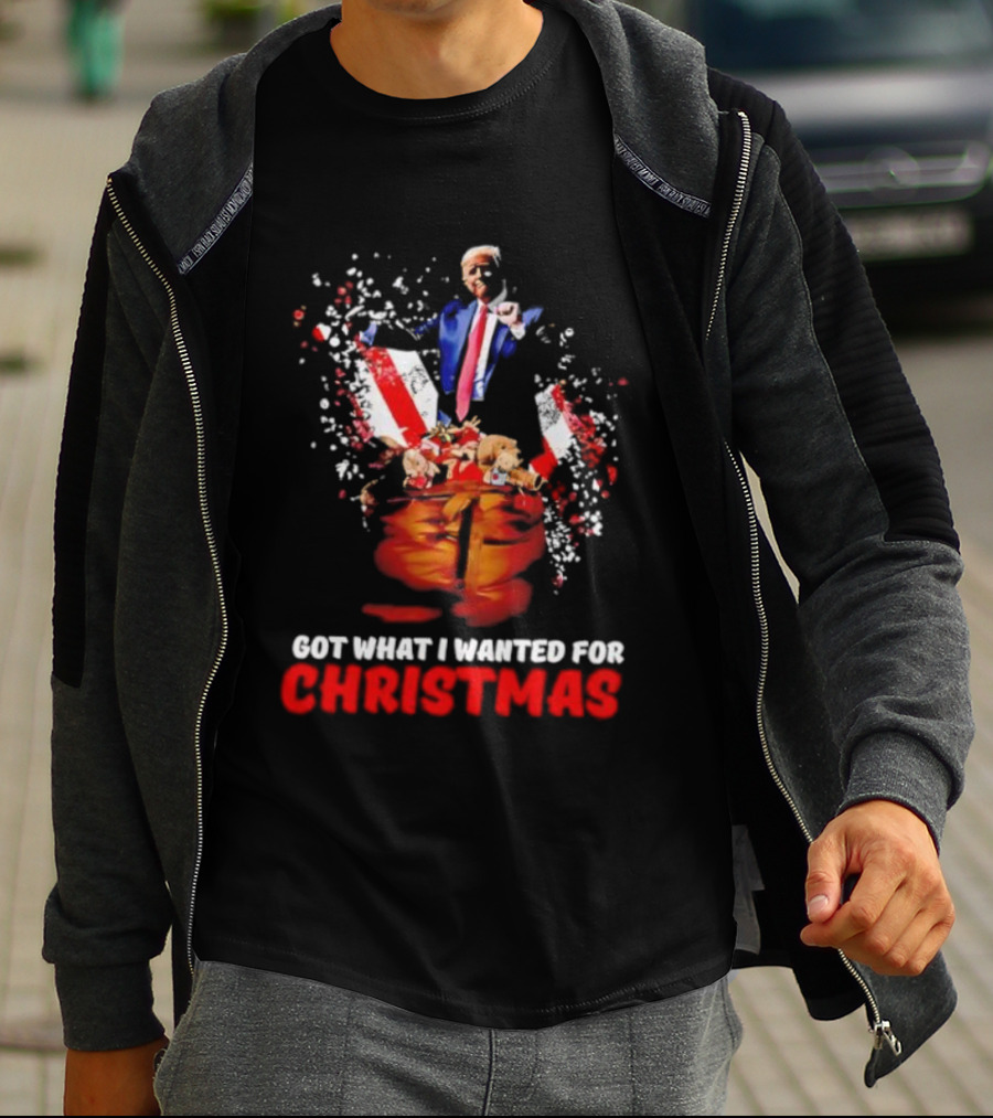 Trump Got What I Wanted For Christmas Santa Bag Fireworks T-Shirt