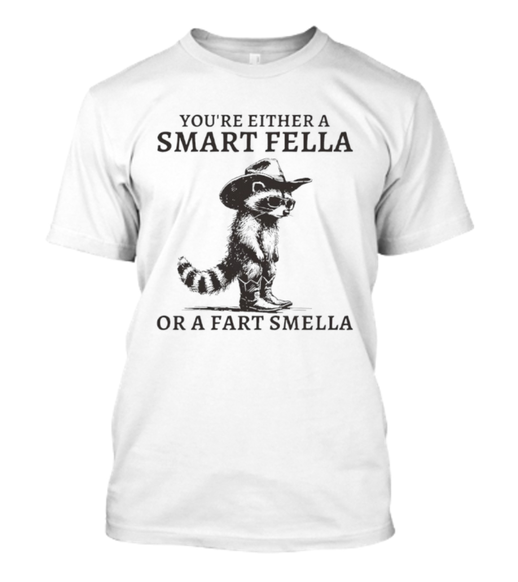 You’re Either A Smart Fella Or A Fart Smella Retro Raccoon T-Shirt