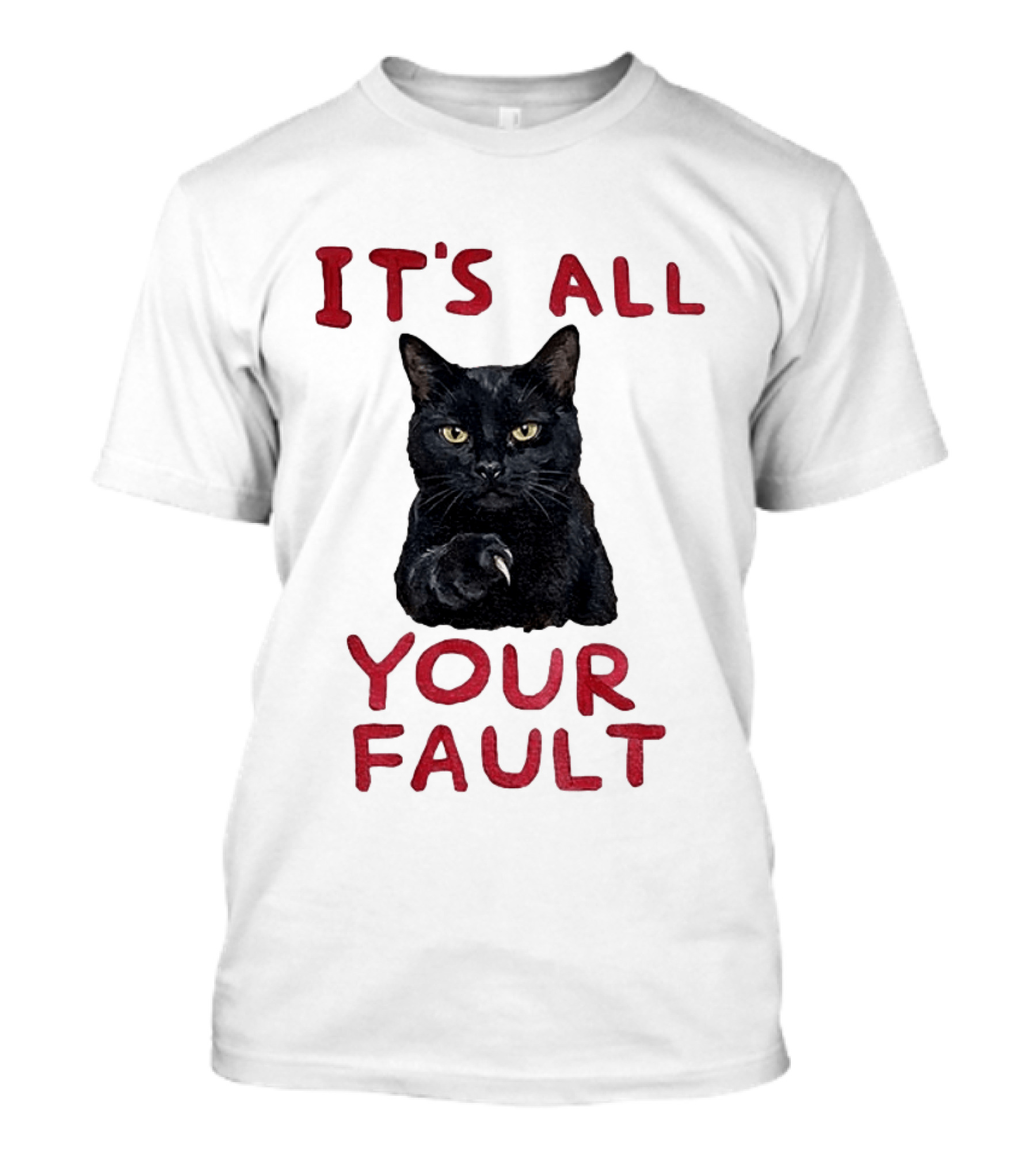 It's All Your Fault Black Cat Accusation T-Shirt