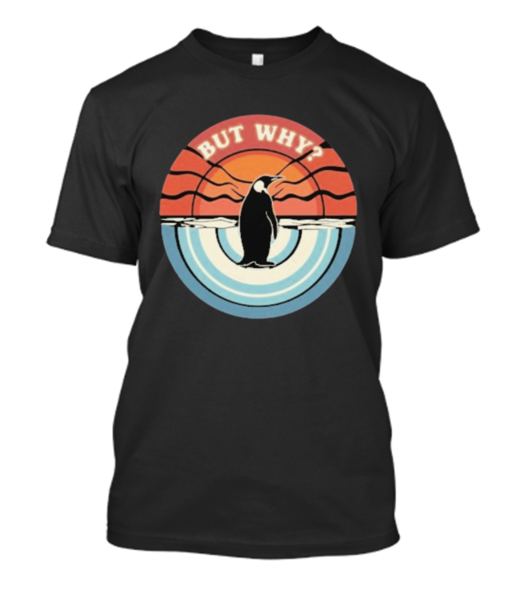 But Why Penguin Vintage Sunset Retro Ocean Waves T-Shirt