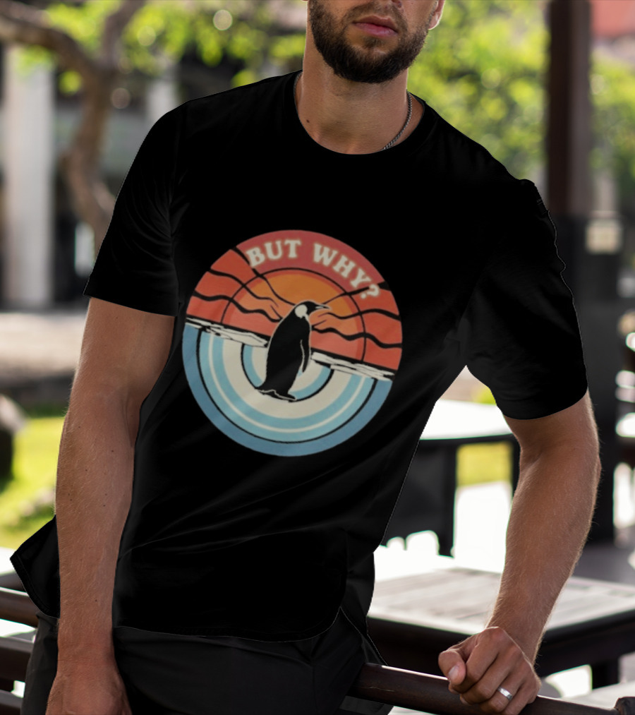 But Why Penguin Vintage Sunset Retro Ocean Waves T-Shirt