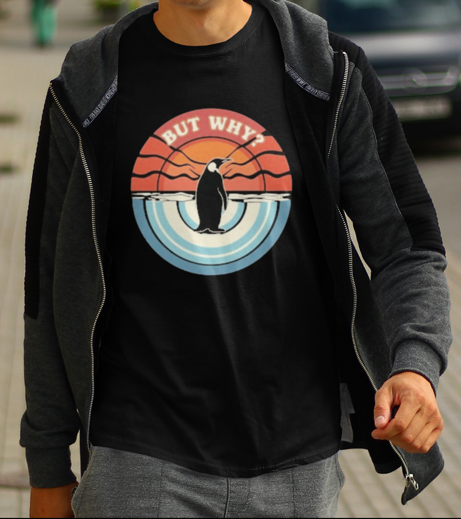 But Why Penguin Vintage Sunset Retro Ocean Waves T-Shirt