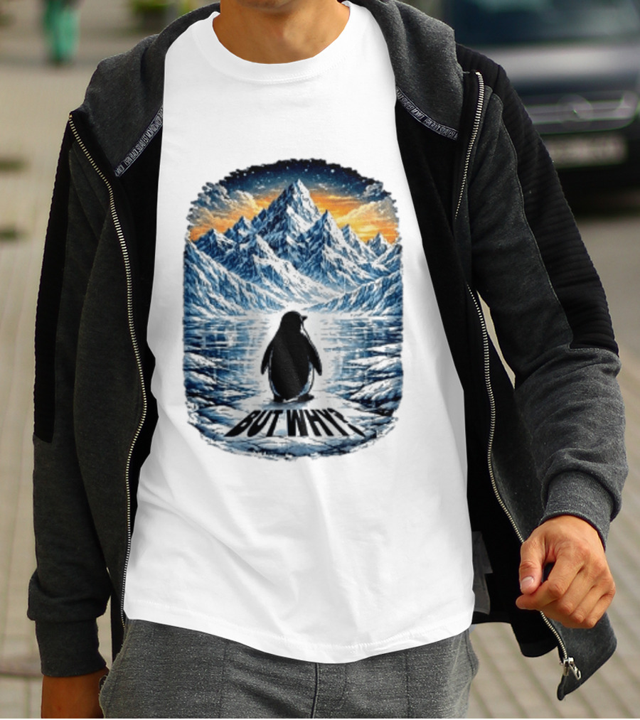 Viral Nihilist Penguin But Why Mountain Reflection T-Shirt